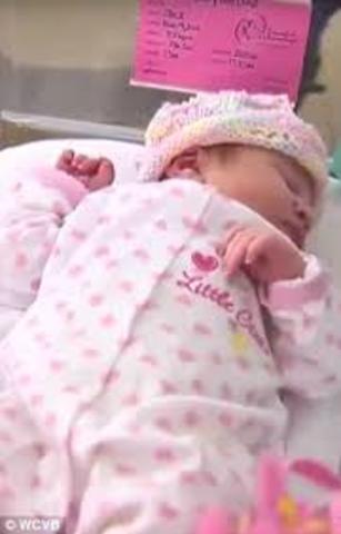 Biosocial Development (25-65)