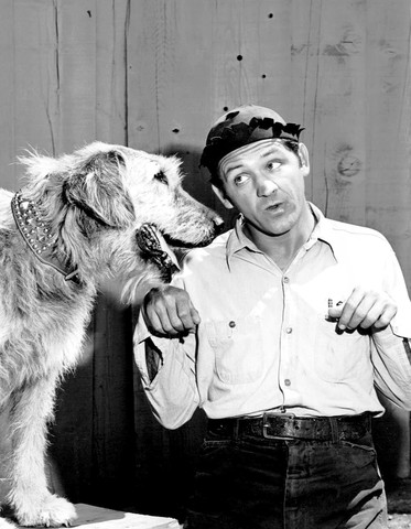 The Andy Griffith Show 1960 - 1968