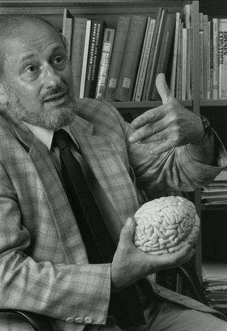 “Disconnection syndromes in animals and man”