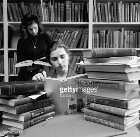 Lugar de información