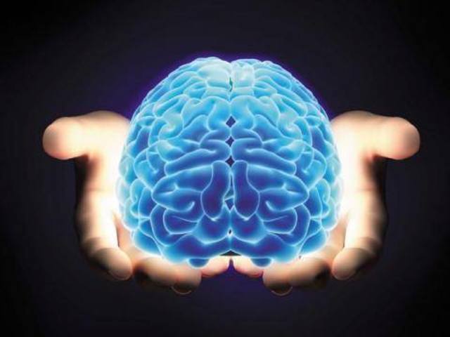 Anos 90 - Década do cérebro