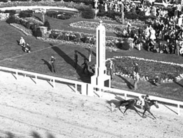 Whirlaway