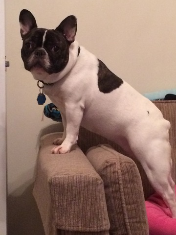 5. Trouve la telecommannde