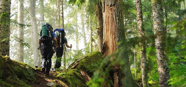 The third expedition