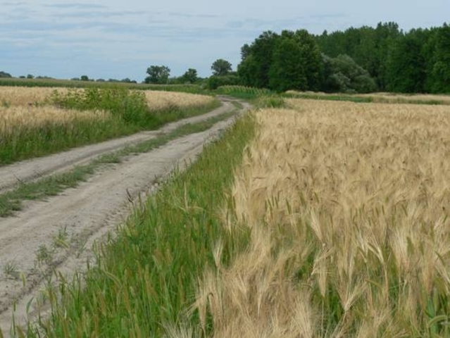 Construction du Chemin du Roy