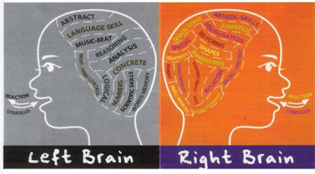 Michael Gazzaniga, E Zaidel, M Kinsbourne, B Milner y R Sperry