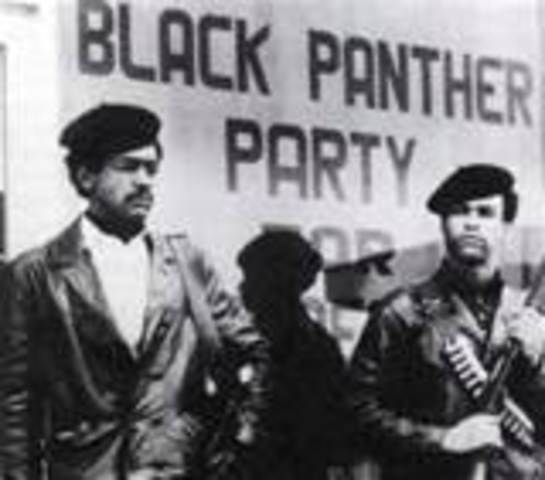 The Black Panthers