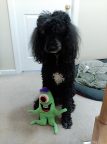 Rentrer à la maison