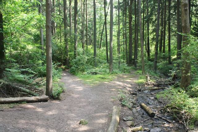 Nolde Forest State Park