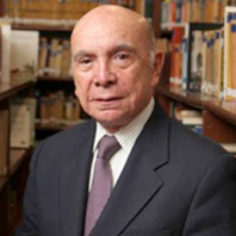 Pedro Carmona Estanga