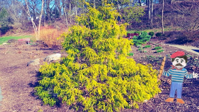 Pierre a marché vers son hôtel.