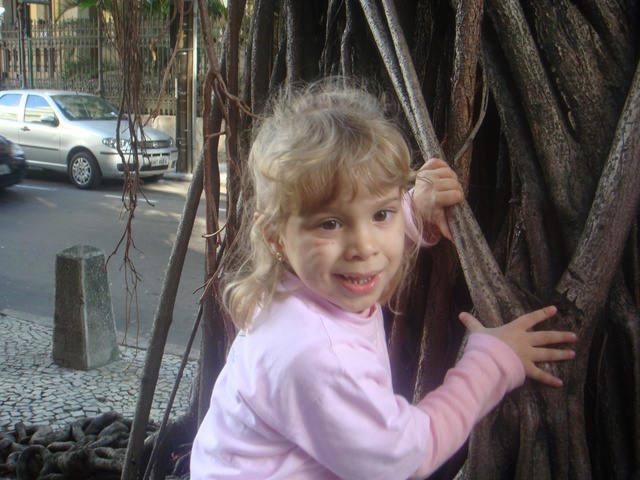 Na árvore que eu escalava quando voltava da escola