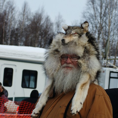 Ego Integrity Versus Despair