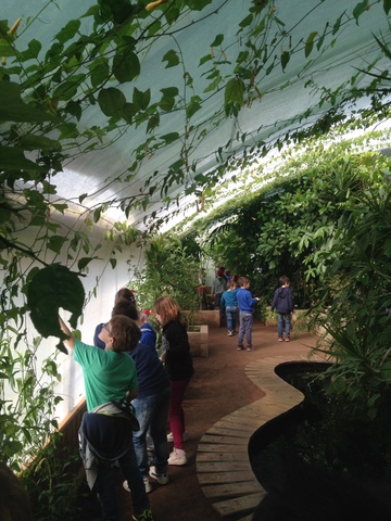 Visita alla serra delle farfalle a Tavernerio!