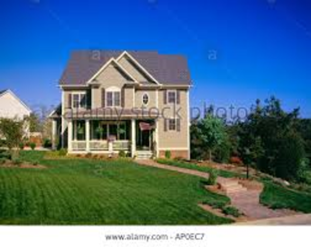 Could Not Believe Our Eyes