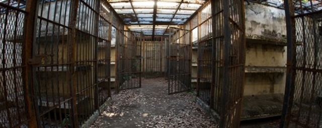 Penal Colony in New South Wales