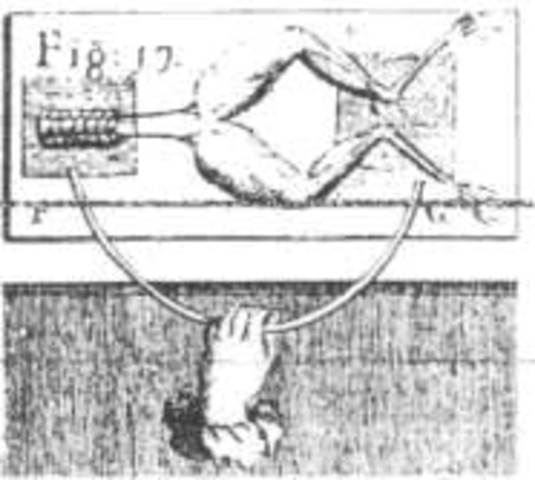 Se entienden por vez primera los circuitos cerrados.