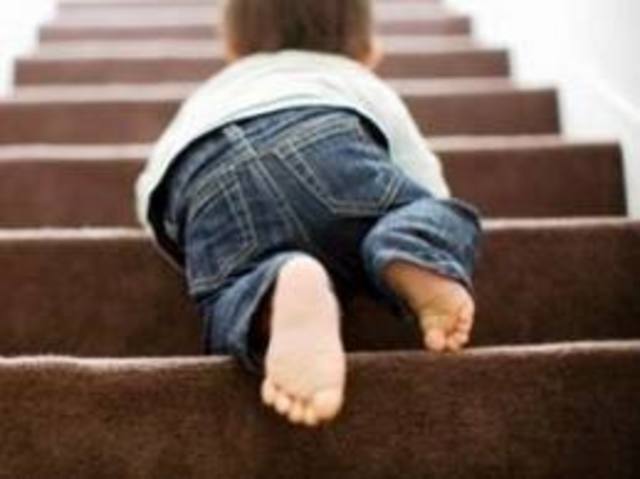 Bornaz - Definición de persona autónoma