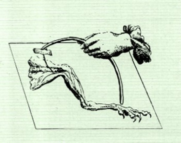 Luigi Galvani crea el concepto de “electricidad animal”.