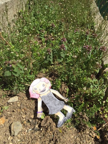 Septième expérience