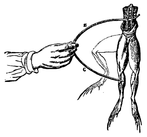 Luigi Galvani (1737-1798) empleó animales para estudiar las descargas eléctricas.