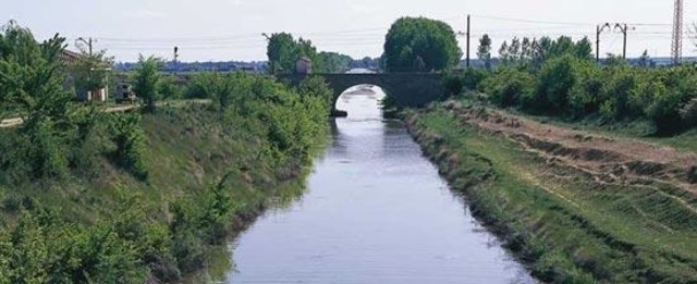 The Million-Year Picnic