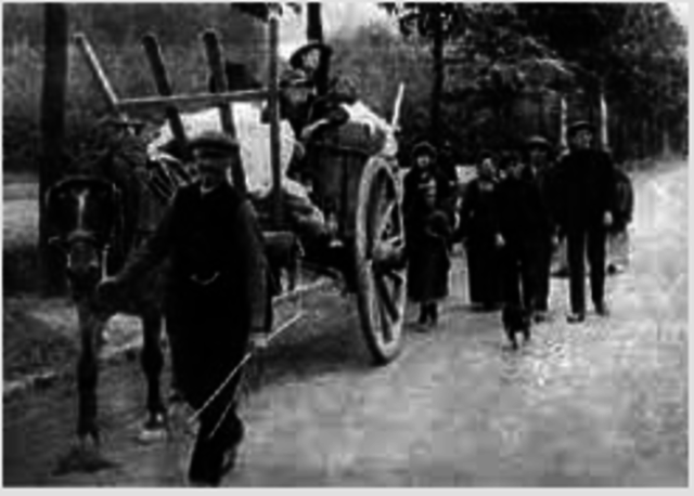 Germany Invades Belgium