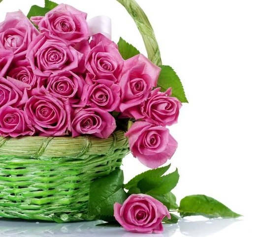 Международная конференция в Копенгагине