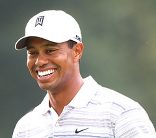 Tiger Woods fatally stabbed