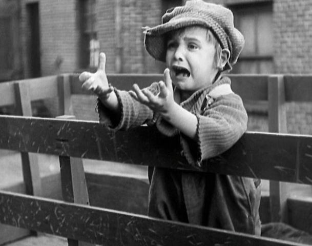 Percicuted in perisa