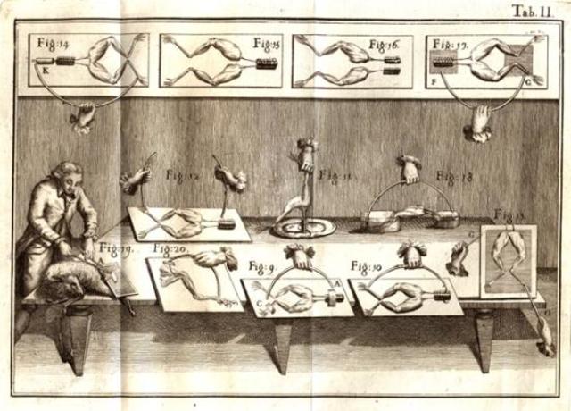 Experimento por Luigi Galvani