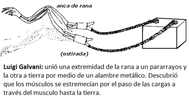 Luigi Galvani: Experimentación en ranas