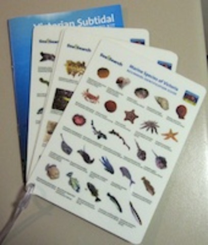 Parks Victoria / Reef Watch