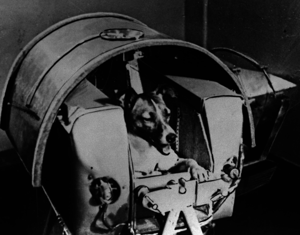 Laika (Sovjetunionen)