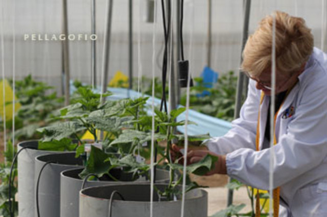 Estudios de sistemas de monitoreos