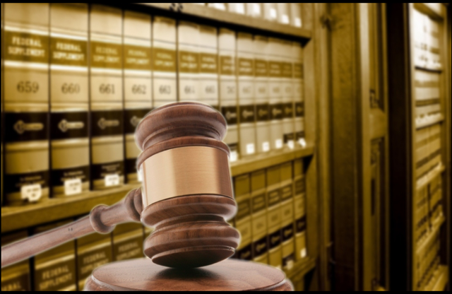 State vs Madonsela in legal costs hearing