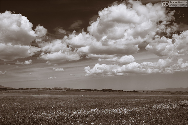 Передача участка земли