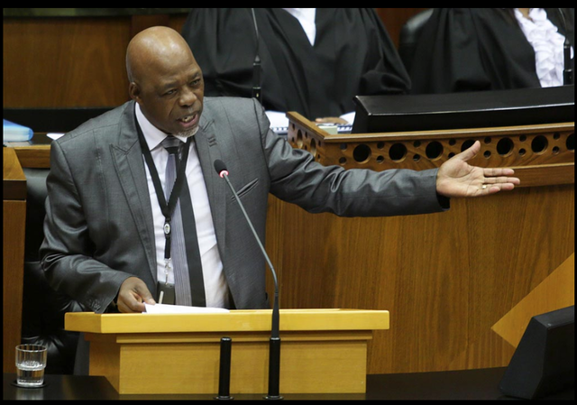 ANC chief whip hits back at Madonsela