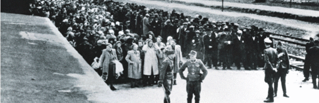 Liberation of Aushwitz Concentration Camp