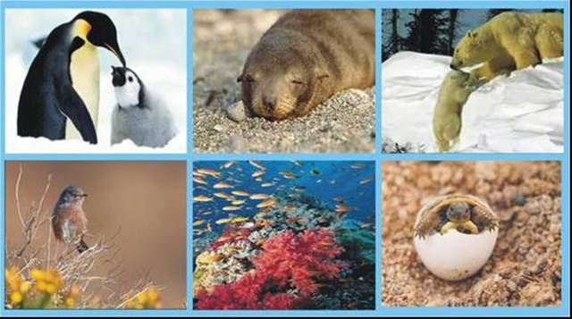 Todo el mundo esta siendo afectado