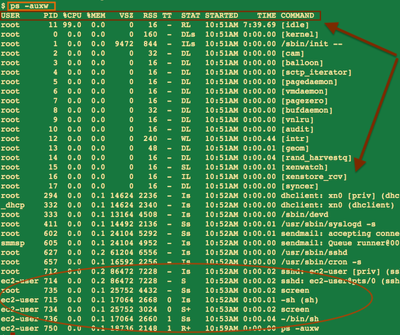 UNIX operating system
