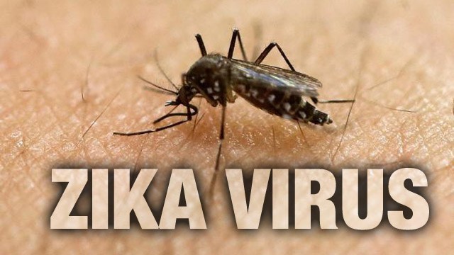 THe Zika outbreaks starts