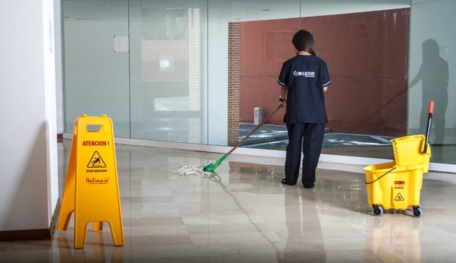 Limpieza y Remocion de Escombro