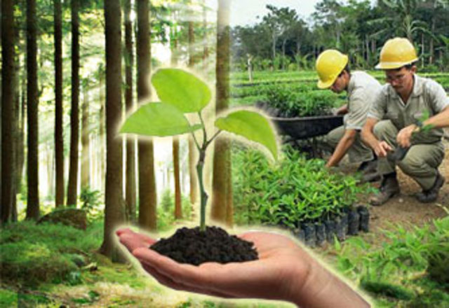 Día forestal mundial