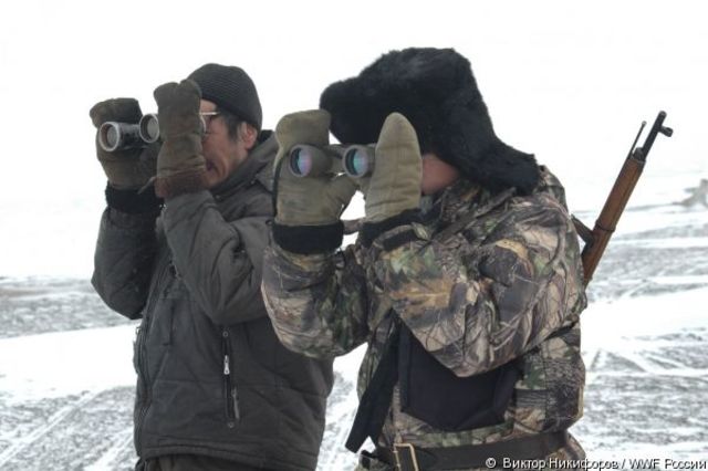 "Весенний след"