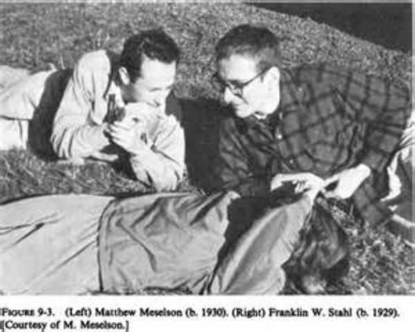 Matthew Meselson y Franklin Stahl