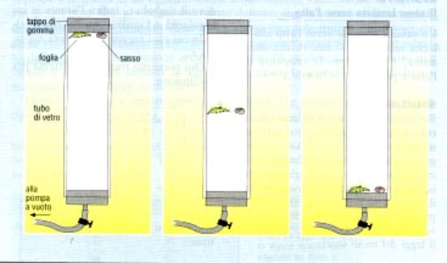 Newton  y la caida libre