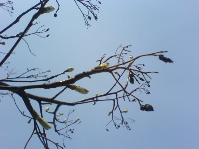 Ma läksin kooli esimesse klassi