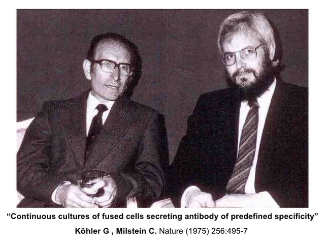 Cesear Milstein y George Kohler, descubren los anticuerpos.