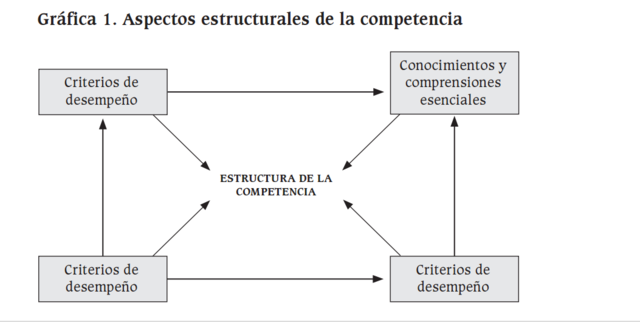 Aspectos estructurales